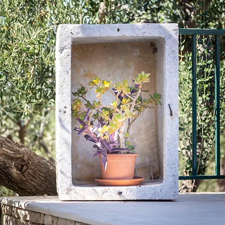 House Mario Hébergement de vacances Supetar